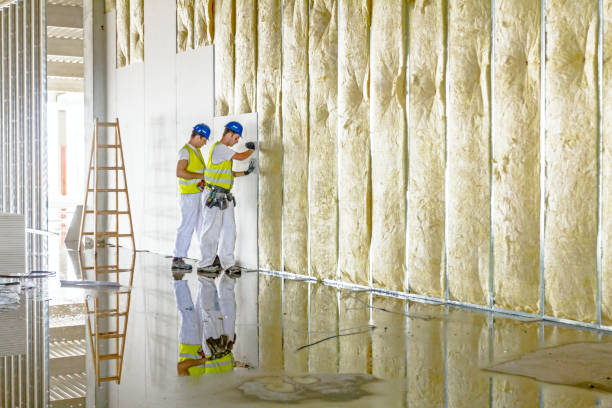 Best Cellulose Insulation in Keystone Heights, FL